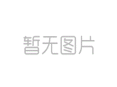<b>国际大地测量协会（IAG）</b>